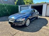Jaguar XF 2.7 L V6 Diesel Luxury  - Jaguar XF in Essen