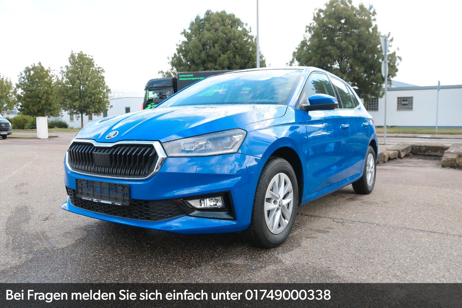 Skoda Fabia Style / Glasdach