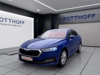 Skoda Octavia - Vorschau Bild 2