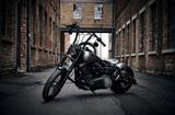 Harley-Davidson Dyna Street Bob - 2011 STREET BOB