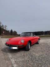 Alfa Romeo Spider - Alfa Romeo aus 1981