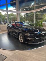 Ford Mustang 5.0 Ti-VCT V8 GT Auto GT - Ford Mustang in Chemnitz
