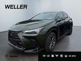 Lexus NX 450h+ E-FOUR Executive Line *HUD*360°*Leder* - Lexus NX Series in Bremen