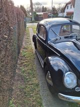 Volkswagen 1955er VW Käfer Ovali - Volkswagen Käfer mit Benzin-Antrieb: Ovali