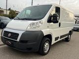 Fiat Ducato Kasten 28 115|Tüv 10/26|1Hand| - Fiat Ducato: 10