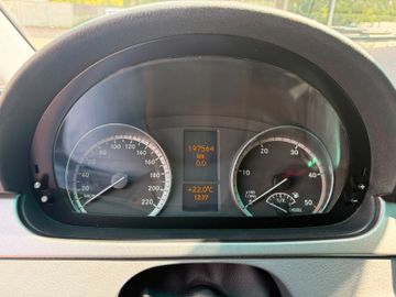 Mercedes Viano - 12