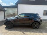 Land Rover Range Rover Evoque 2.0 TD4  SE Autom. / Pano/Cam - Land Rover Range Rover Evoque in Dortmund