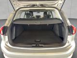 Ford Focus Turnier 1.0 EcoBoost COOL&CONNECT - Ford Gebrauchtwagen in Ludwigsburg