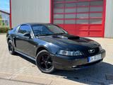 Ford Mustang GT Cobra 4.6 Liter V8 mit PDC 324 PS - Ford aus 2001