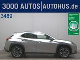 Lexus UX 250 h 250h Style Edition ACC LED RFK KeyLess - Lexus aus 2021