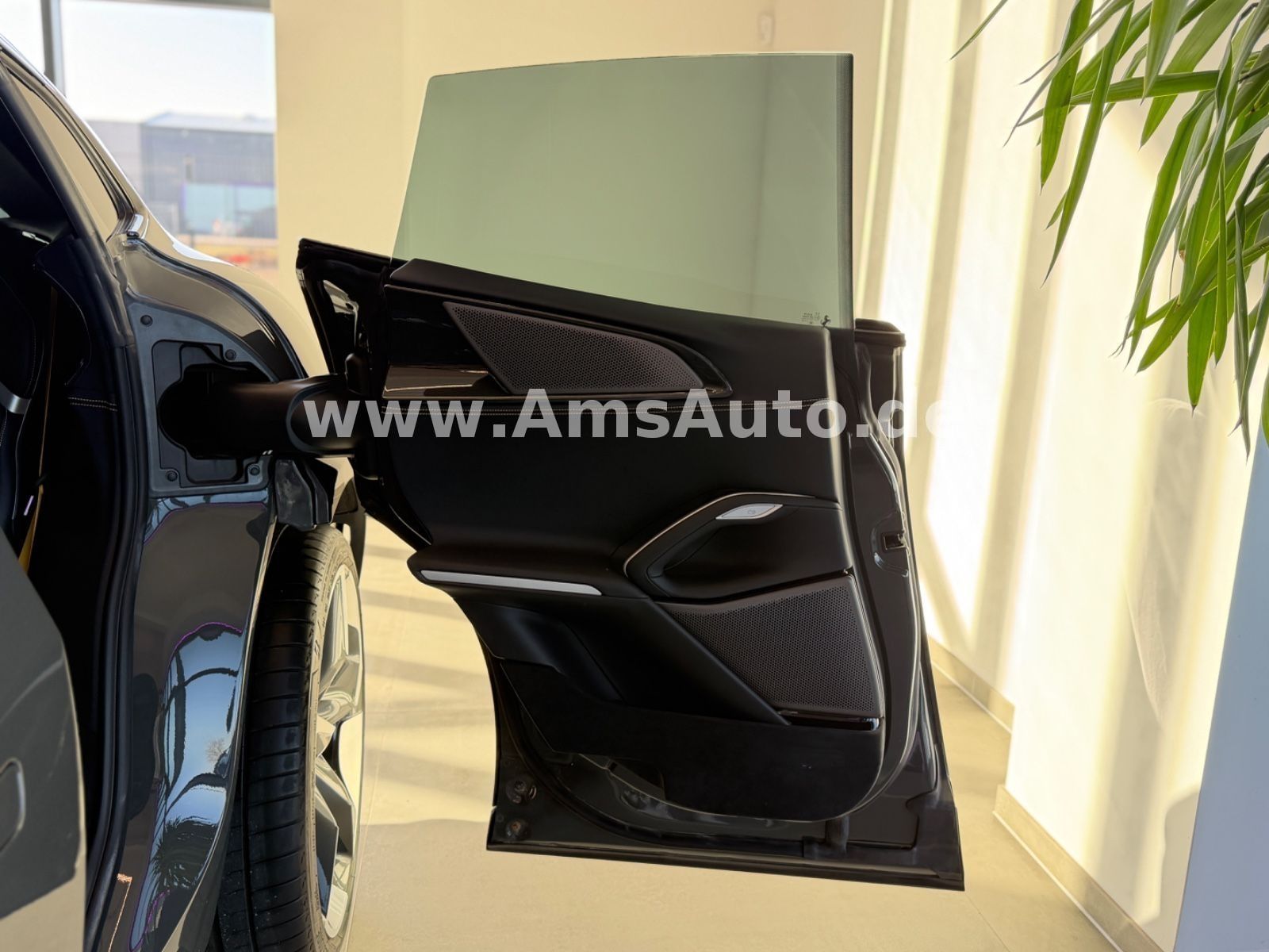 Purosangue Full Carbon Pano Massage