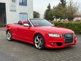 Audi S5 Cabriolet 3.0 TFSI Quattro ABT*Leder*Xenon* - Audi S5 aus 2010: Cabrio