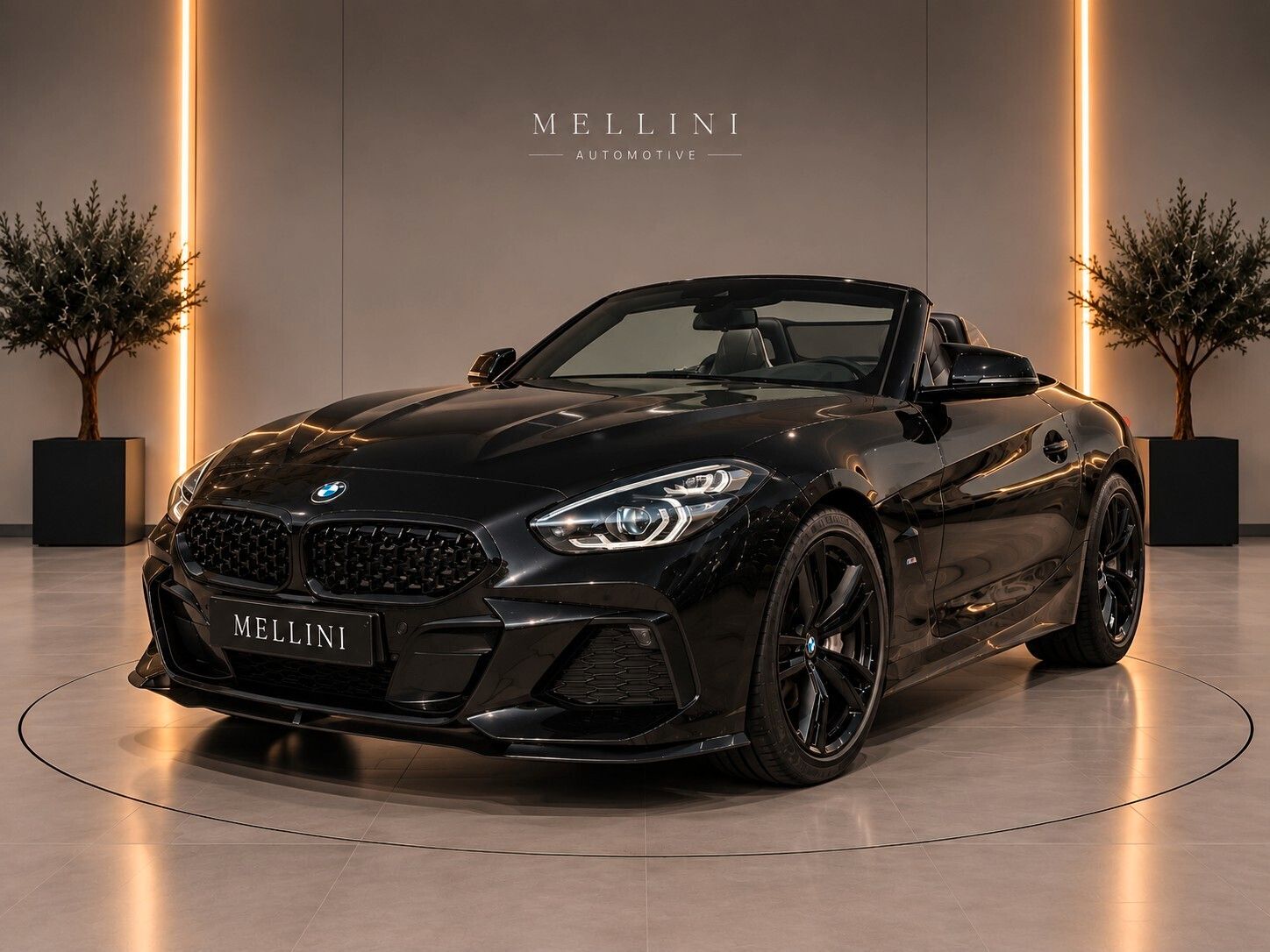 BMW Bmw Z4 M sDrive30i Msport