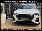 Audi e-tron 50 QU.S-Line Black Edition Kamera/21/Lede - weiße Audi e-tron
