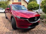 Mazda CX-5 2.5 SKYACTIV-G 194 Signature Auto FWD S... - Mazda in Braunschweig