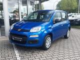 Fiat Panda Pandina 1.0 firefly Hybrid Pop - Fiat Panda in Hagen