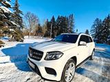 Mercedes-Benz GL 550 4MATIC -GLS 550 AMG Original Pack - Mercedes-Benz GL 500: AMG