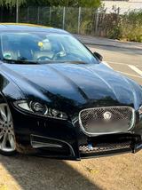Jaguar XF 3.0 V6 - Jaguar XF in Dortmund