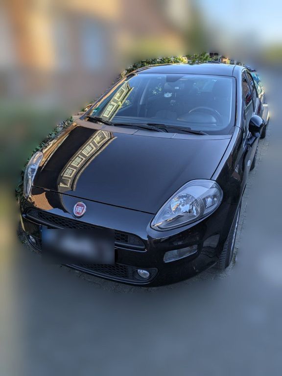 Image of Fiat Punto