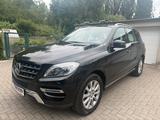 Mercedes-Benz ML 350 ML -Klasse ML 350 CDI BlueTec/1.Hand/Pano - Mercedes-Benz ML 350 in Essen