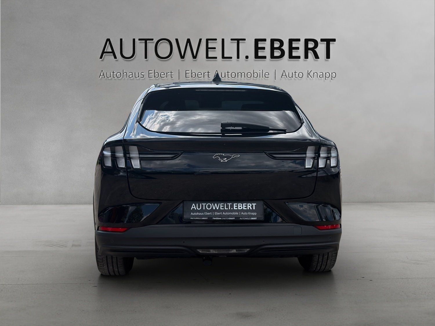 Fahrzeugabbildung Ford Mustang MACH-E Basis (Extended Range)