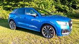 Audi SQ2 Arablau AHK Schiebedach - Audi SQ2 von privat