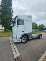 DAF FT XF 480 SC Kipphydraulik - Tier-/Pferdetransport