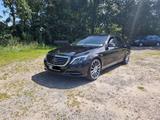 Mercedes-Benz S 350 BlueTEC - - Mercedes-Benz S 350: Von Privat