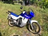Honda Transalp V600 PD06 - HONDA TRANSALP PD06