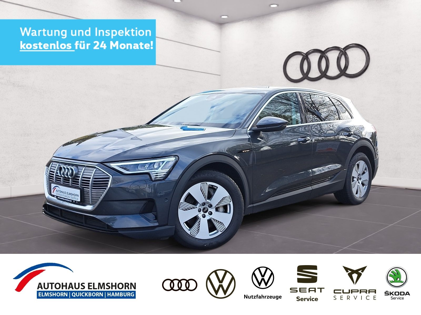 Audi e-tron 50 quattro AHK NAV LED AIR GRA PDC SHZ