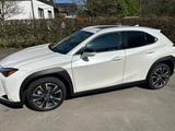 Lexus UX 250h F Sport Design *Bi-LED*HUD*Leder*ACC*SHZ - Lexus aus 2023