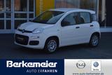Fiat Panda Urban Hybrid 1.0 GSE/Klima/Radio/Bluetooth - Fiat Panda: Radio