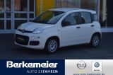 Fiat Panda Urban Hybrid 1.0 GSE/Klima/Radio/Bluetooth - Fiat Panda aus 2020