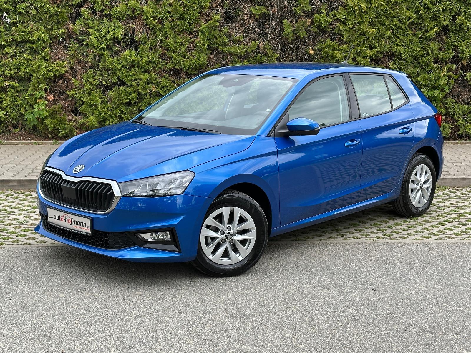Skoda 95PS Selection Climatronic SHZ PDC/H LM15"AHK