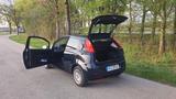 Fiat Punto 1.2 8V - - Fiat Punto Gebrauchtwagen in München