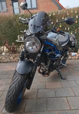 Suzuki SV650 - SUZUKI 650 SV