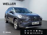 Toyota RAV 4 2.5 Hybrid 4x2 Team D *Technik Paket*RCam* - Toyota RAV 4: 2.4