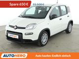 Fiat Panda 1.0 Mild-Hybrid Pandina Cross *TEMPO*PDC* - Fiat Panda: Pandina