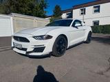 Ford Mustang 2.3 Ecoboost  - gebrauchte Ford Mustang aus dem Jahr 2020