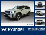 Hyundai Santa Fe 1.6 T-GDI W Signature AHK Leder Allrad - Hyundai SANTA FE Jahreswagen