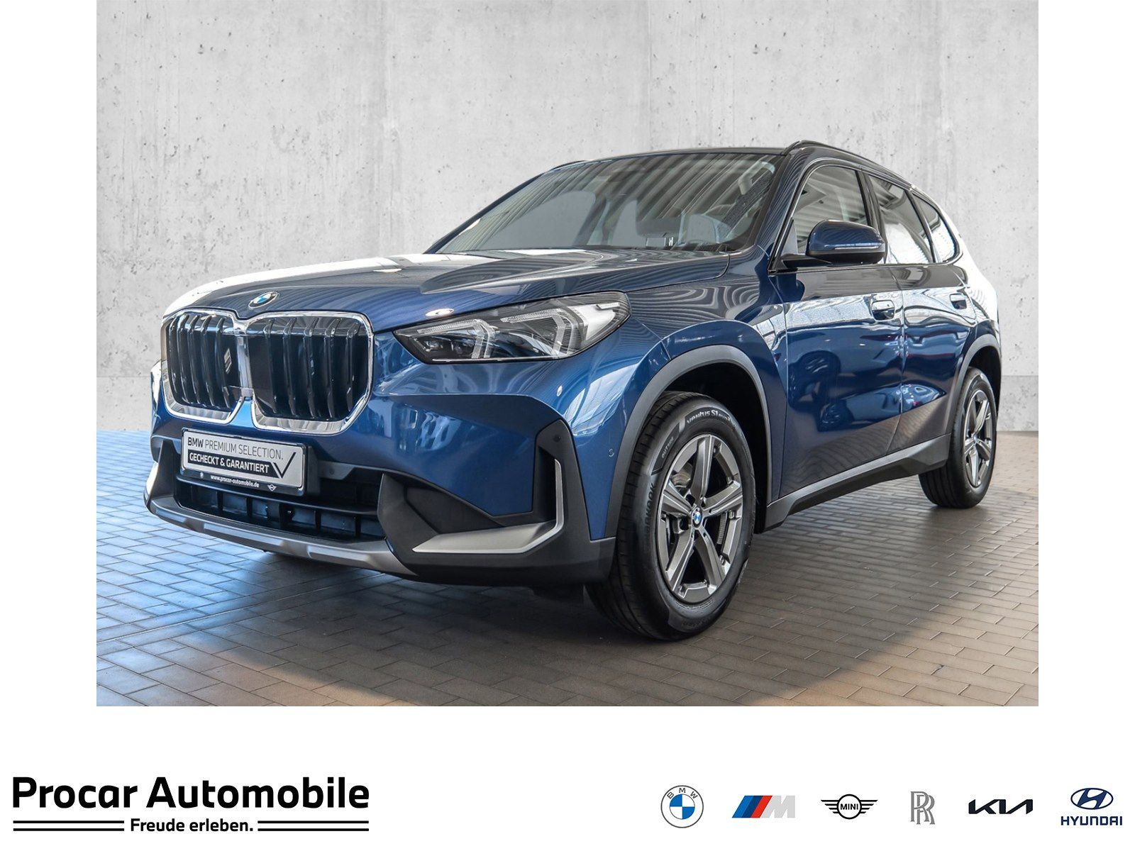 BMW X1 sDrive20d AHK adapt.-LED ParkingAssistant