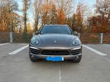 Porsche Cayenne Diesel *PANO*4xSHZ*ACC*20" - Porsche Cayenne mit Diesel-Antrieb: Geländewagen, Automatik