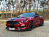 Ford Mustang Shelby 5.2 GT350 Original 2016/17r - Ford Mustang: Shelby Gt350