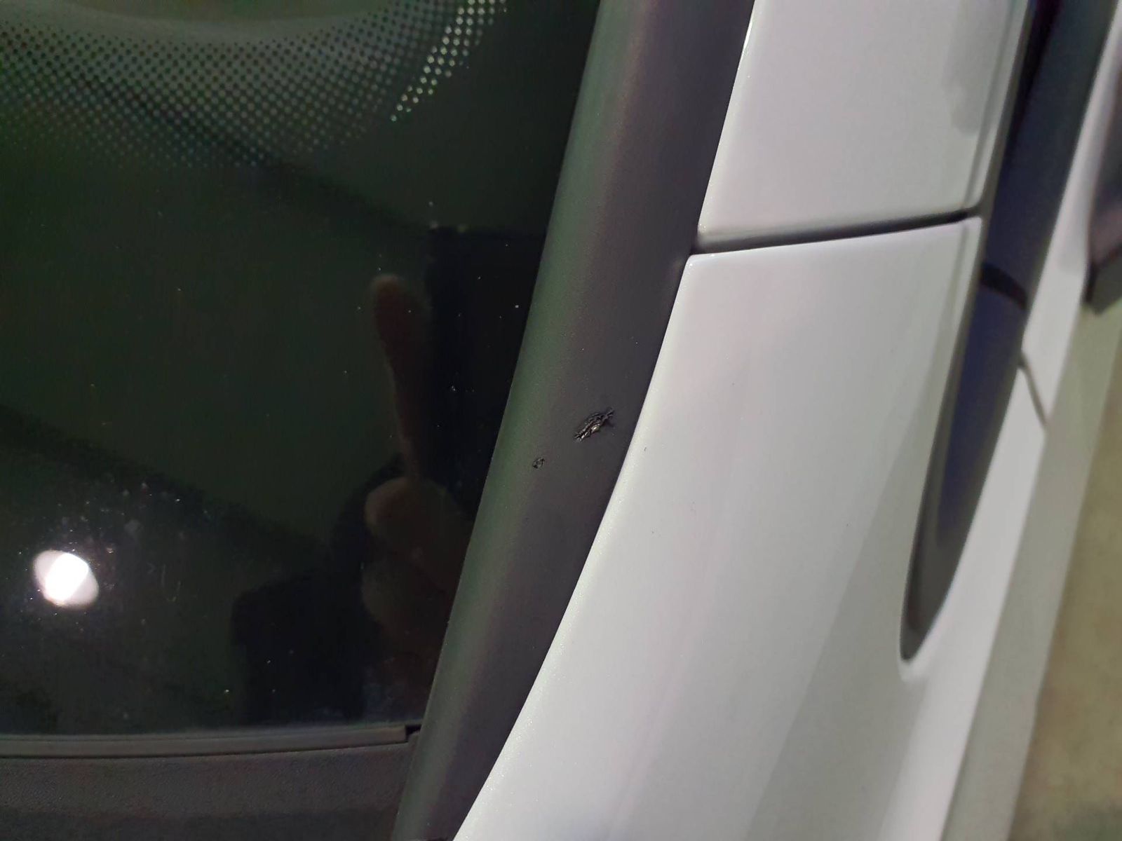 Volkswagen Golf - Bild 18