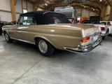 Mercedes-Benz 280 SE Cabrio W111 BRABUS-Classic MwSt. awb. - Mercedes-Benz 280: 280se