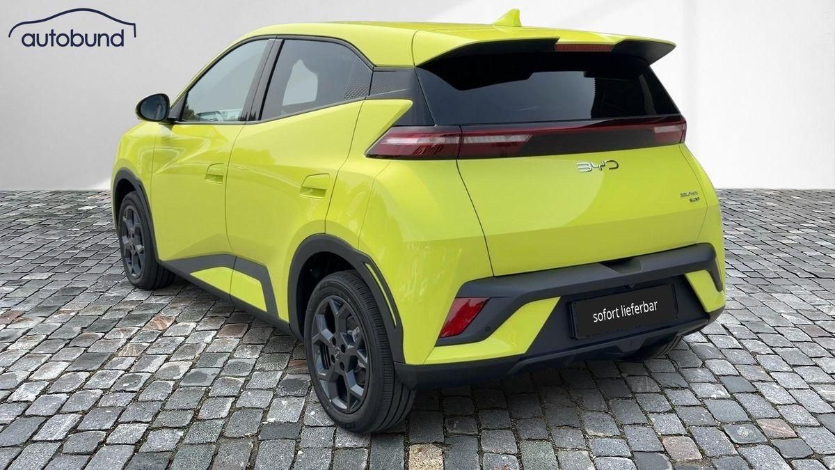 BYD DOLPHIN SURF