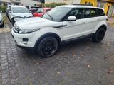 Land Rover Range Rover Evoque Pure - Land Rover Gebrauchtwagen von 2013
