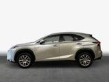 Lexus NX 300h E-FOUR Executive - Lexus: Nx