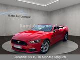 Ford Mustang 3.7 Cabrio Automatik//Tüv Neu// - Ford Mustang: Cabrio