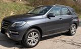 Mercedes-Benz ML 350 BlueTEC 4MATIC- 8-fach bereift TÜV 10/27